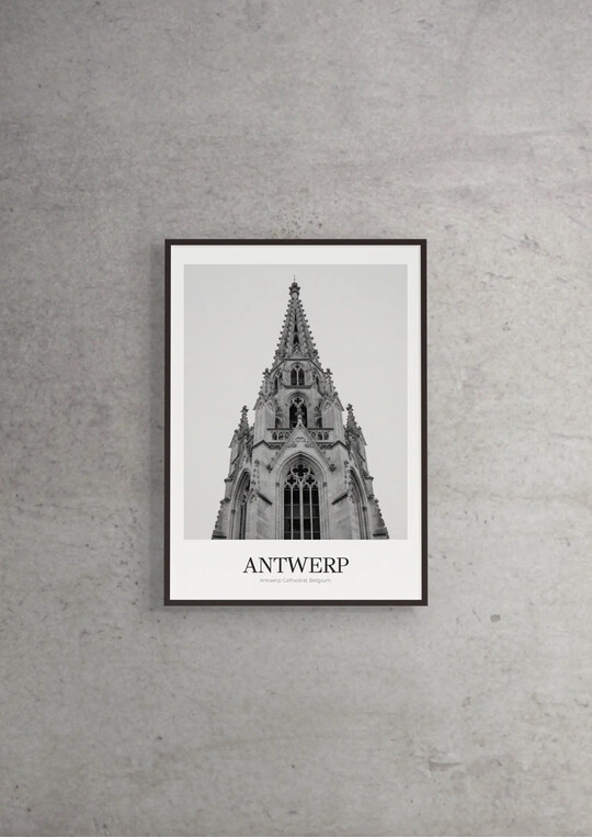 Antwerp Cathedral - Classic Framed Architecture Print