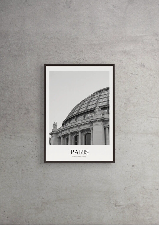 Grand Palais - Classic Framed Architecture Print