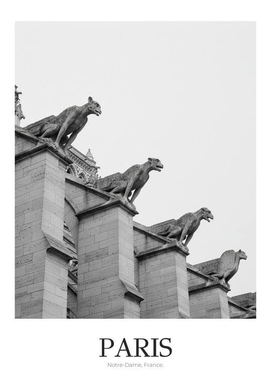Notre-Dame - Black & White Architecture Poster
