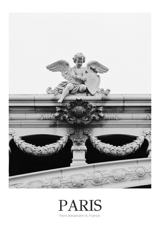Pont Alexandre III - Black & White Architecture Poster