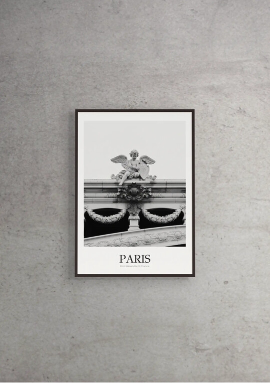 Pont Alexandre III - Classic Framed Architecture Print