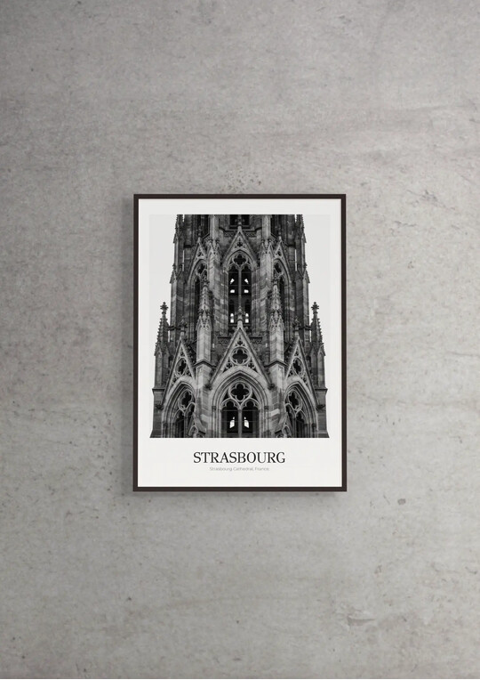 Strasbourg Cathedral - Classic Framed Architecture Print