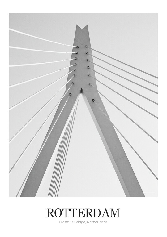 Erasmus Bridge - Black & White Architecture Poster