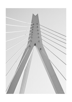 Erasmus Bridge - Famous Bridges Gallery Wall Set