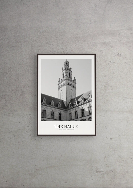 Peace Palace - Classic Framed Architecture Print
