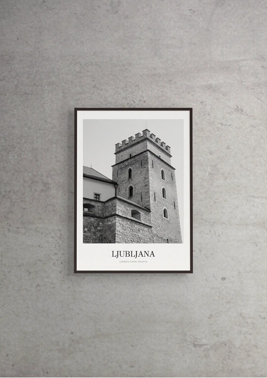 Ljubljana Castle - Classic Framed Architecture Print