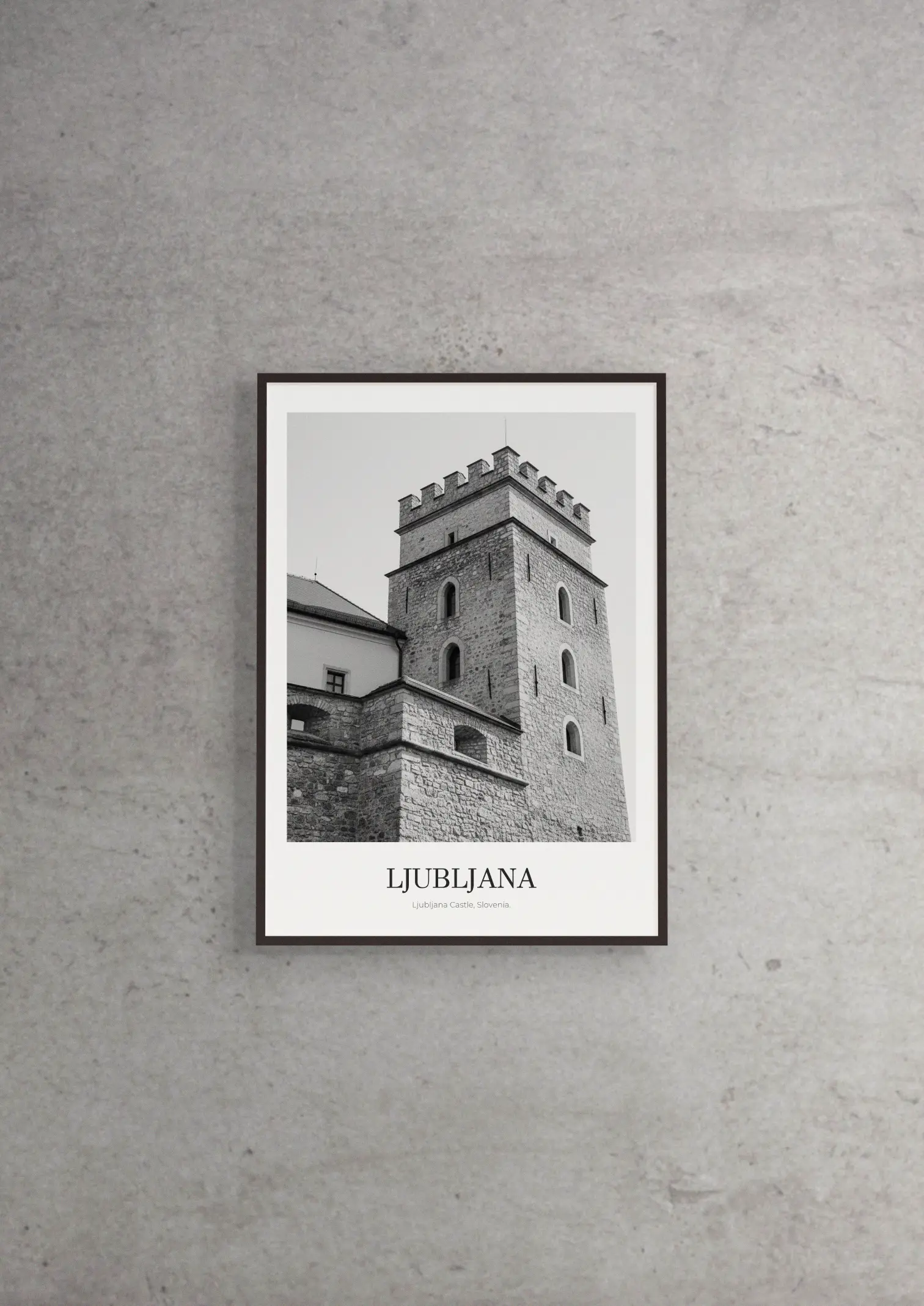 Ljubljana Castle - Classic Framed Architecture Print