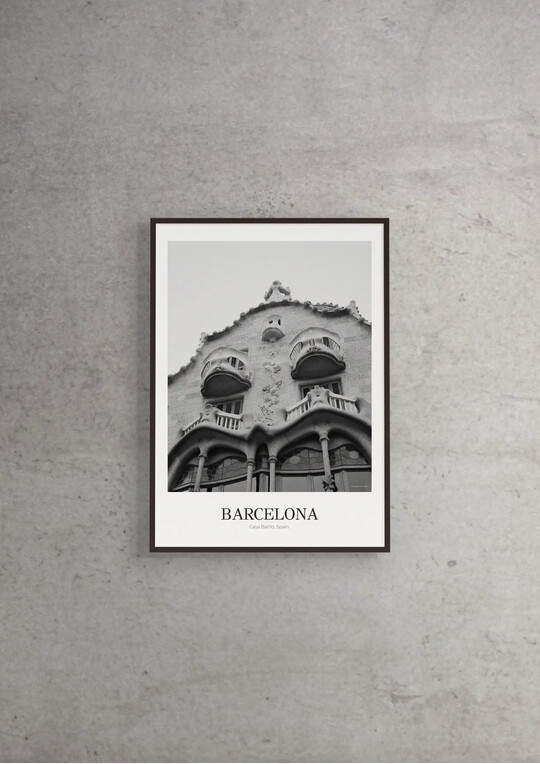 Casa Batlló - Classic Framed Architecture Print