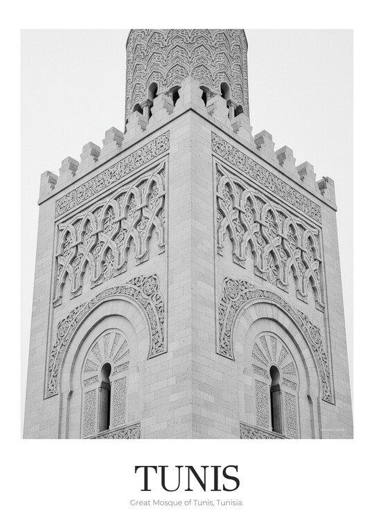 Great Mosque of Tunis - Black & White Architecture Poster