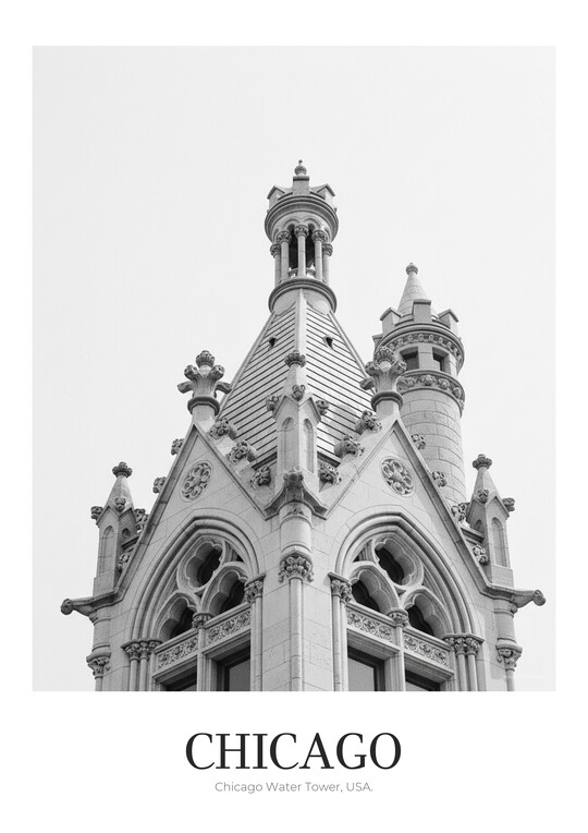 Chicago Water Tower - Black & White Architecture Poster