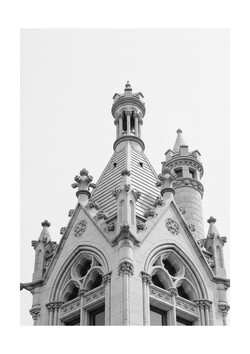 Chicago Water Tower